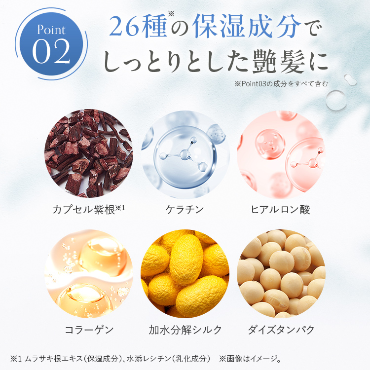 ヘアカラートリートメント ナチュラルブラック